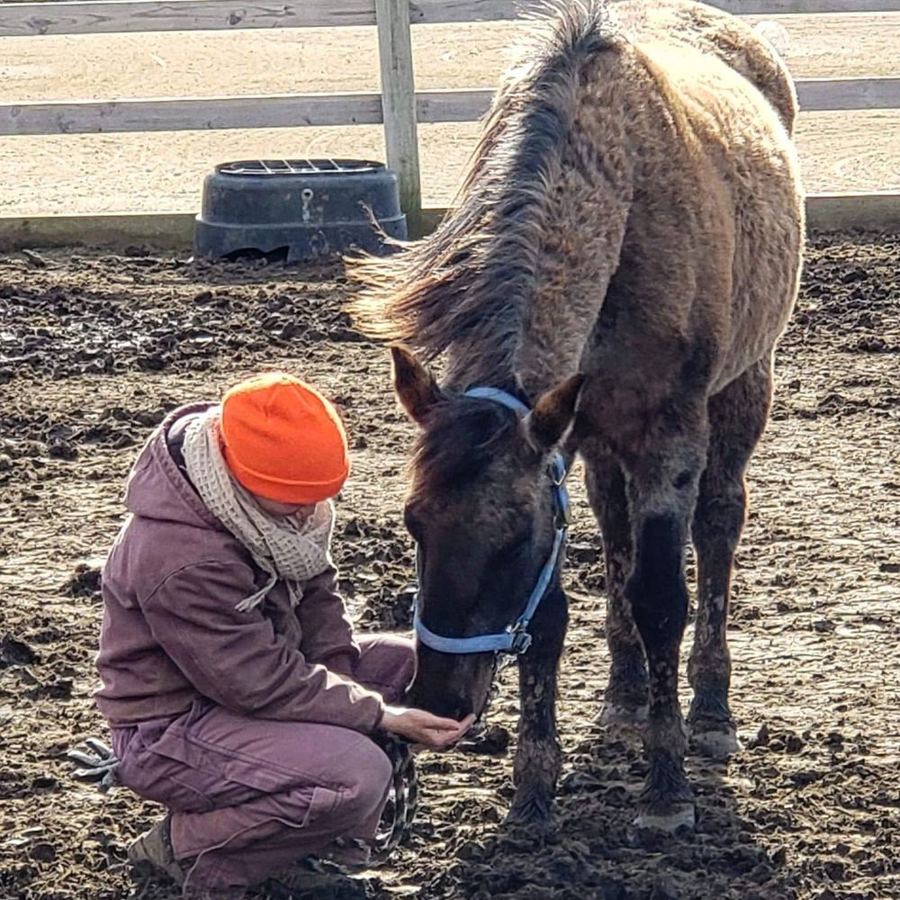 Meet your Posher, Brittany